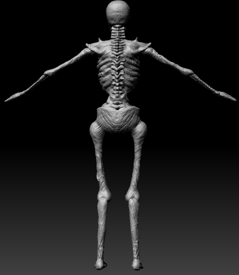 skeletonnocolor_back